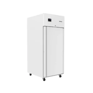 armario-de-ultracongelacao-40o-de-gelados-infrico-agb801ic-netfrio